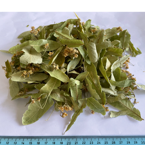 Silver Linden Flower