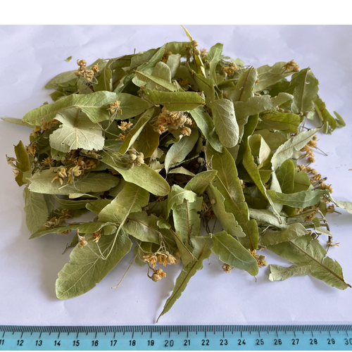 Silver Linden Flower