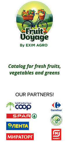 Fresh Fruits and Vegetables