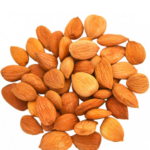 Apricot Kernel