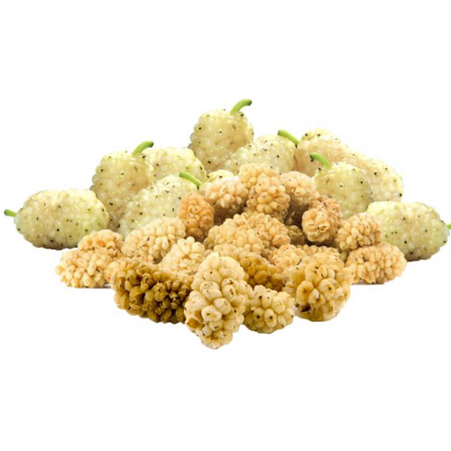 DRIED MULBERRY