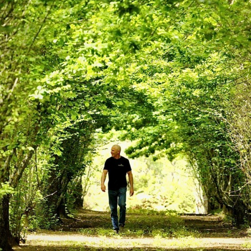 Fresh Truffle - Best Black Truffle in the World (tuber melanosporum