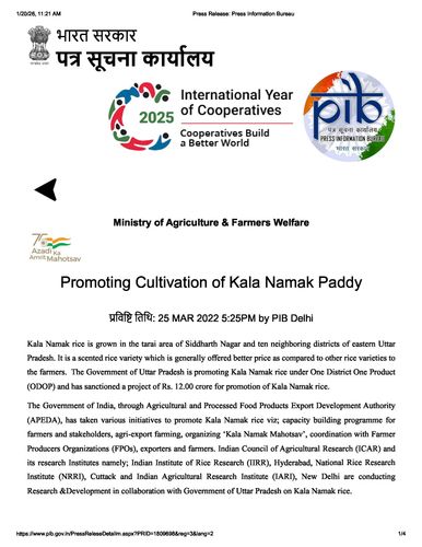 Promoting Cultivation of Kala Namak Paddy