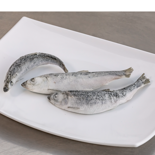 IQF Baltic herring/sardines