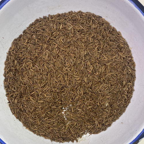 Cumin Seeds (Cuminum cyminum)