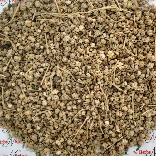 Puncture Vine (Tribulus terrestris)