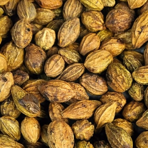 Chebulic Myrobalan / Terminalia Chebula (Terminalia chebula)