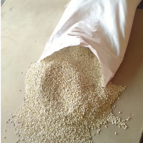 Safflower Seeds (Carthamus tinctorius)