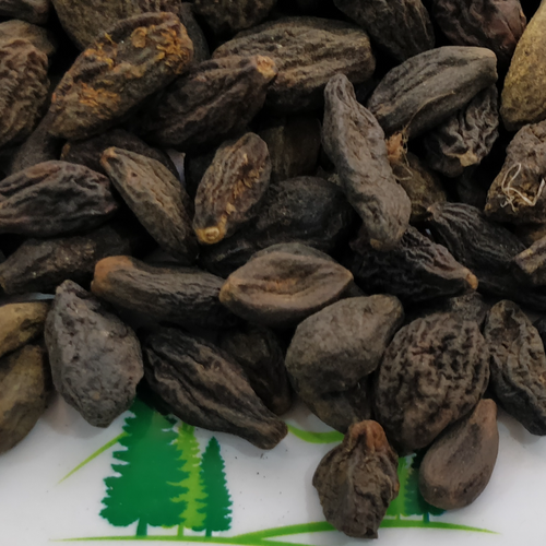Bal Harad (Terminalia bellirica) - Gulfood 2026