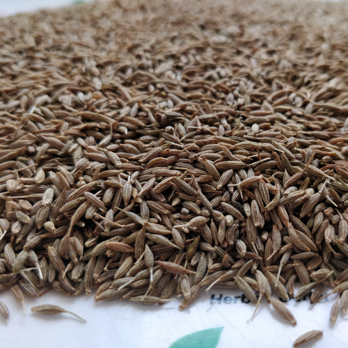 Cumin Seeds (Cuminum cyminum)