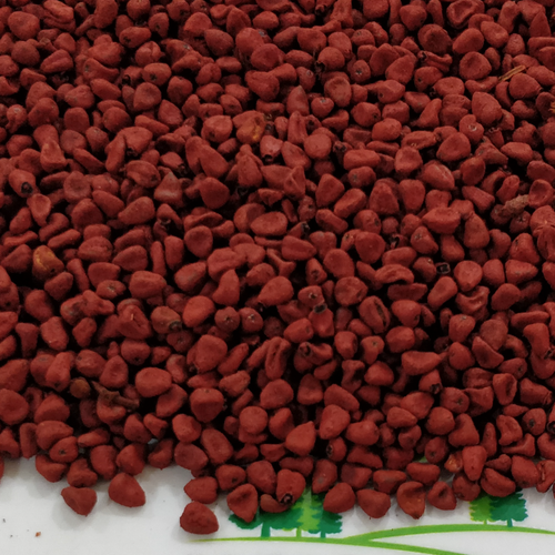 Annatto / Achiote Seeds (Bixa orellana)