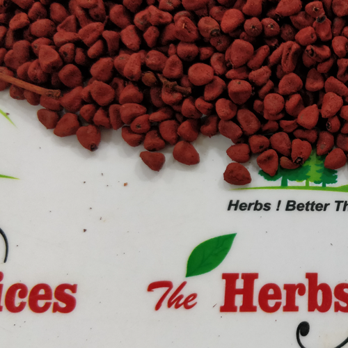 Annatto / Achiote Seeds (Bixa orellana)