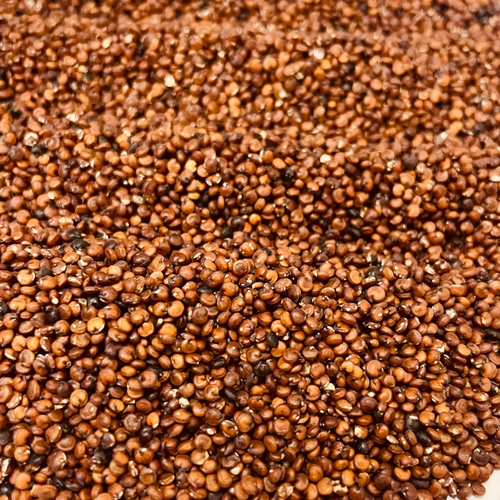 Red Quinoa Seeds