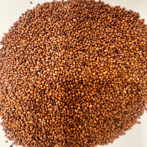 Red Quinoa Seeds