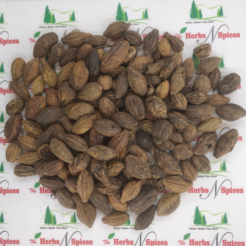 Chebulic Myrobalan / Terminalia Chebula (Terminalia chebula)