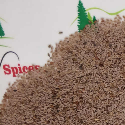 Psyllium Husk (Plantago ovata)