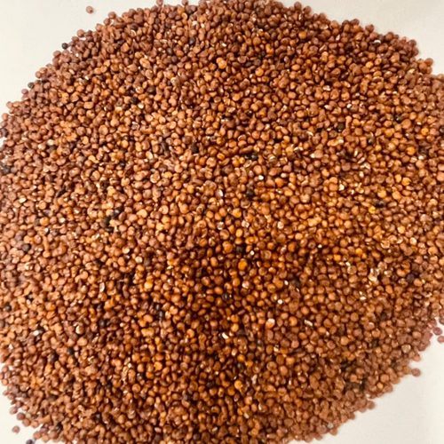 Red Quinoa Seeds