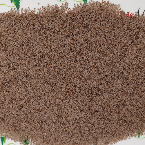 Psyllium Husk (Plantago ovata)