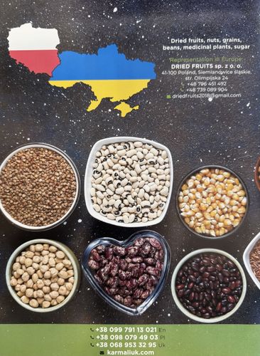 Catalogue of products