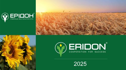 Eridon General Information