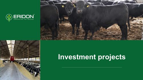 Eridon Investment Projects