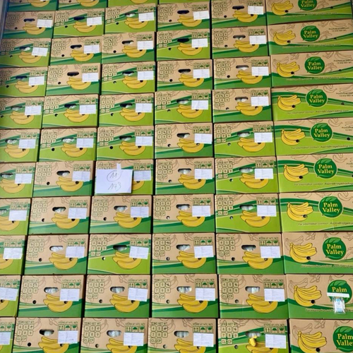 Premium Cavendish Bananas from Vietnam