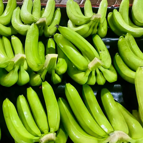 Premium Cavendish Bananas from Vietnam