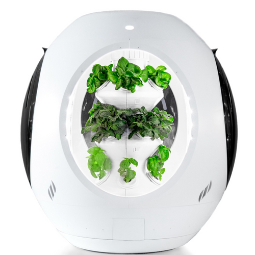 Plantaform Smart Indoor Garden - White