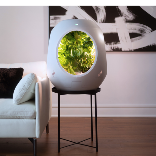 Plantaform Smart Indoor Garden - White