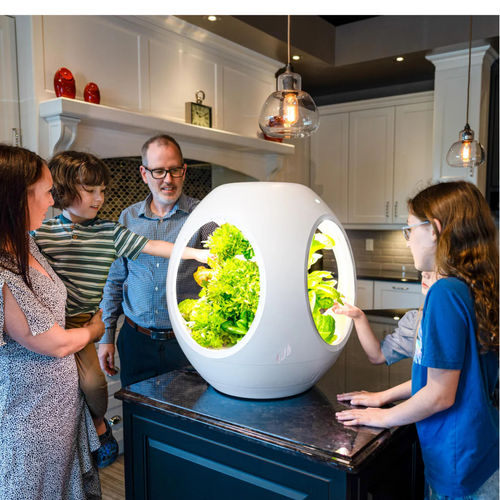 Plantaform Smart Indoor Garden - White