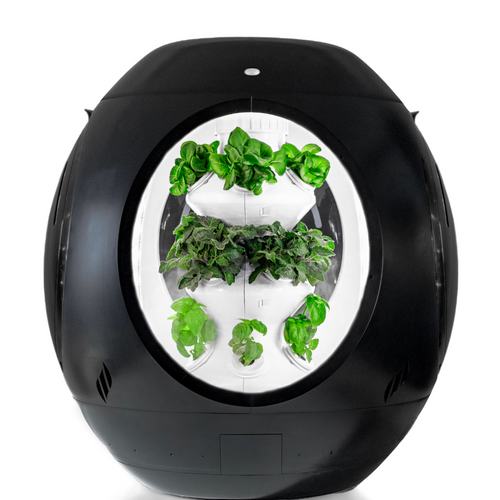 Plantaform Smart Indoor Garden - Black