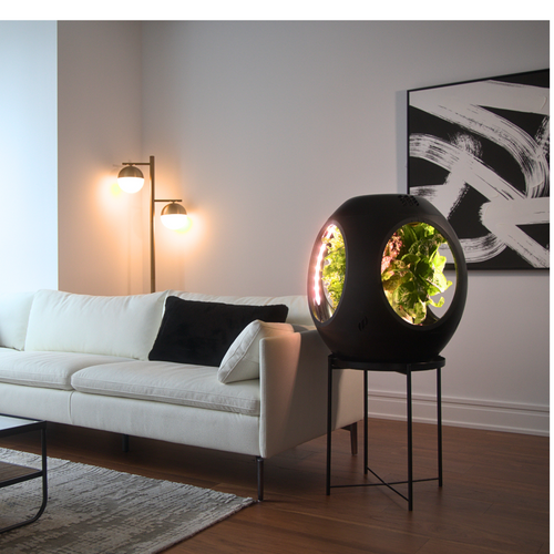 Plantaform Smart Indoor Garden - Black