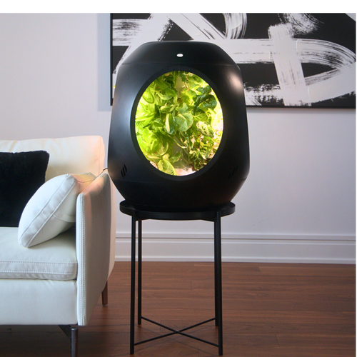 Plantaform Smart Indoor Garden - Black