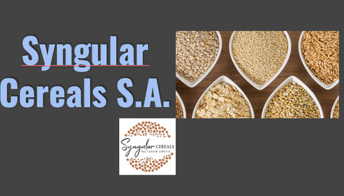 Syngular Cereals Presentation