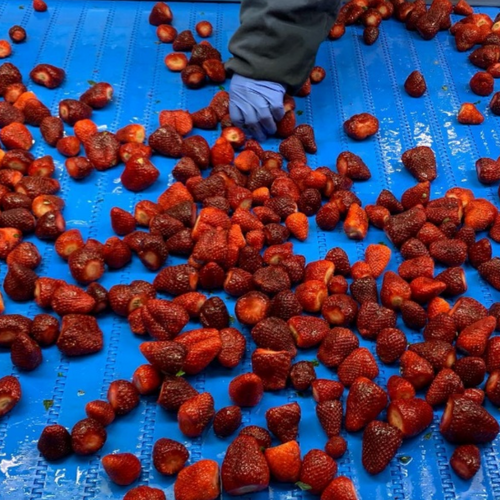 Strawberry IQF