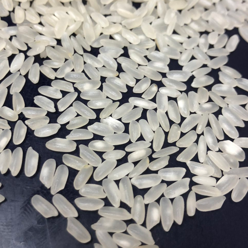 Medium grain camolino rice