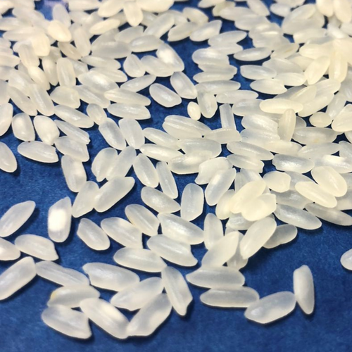 Medium grain camolino rice