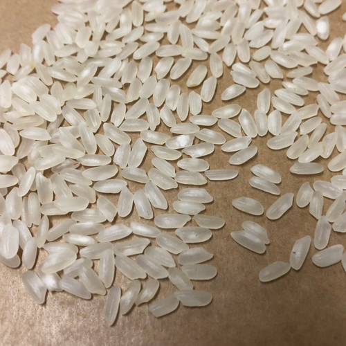 Medium grain camolino rice