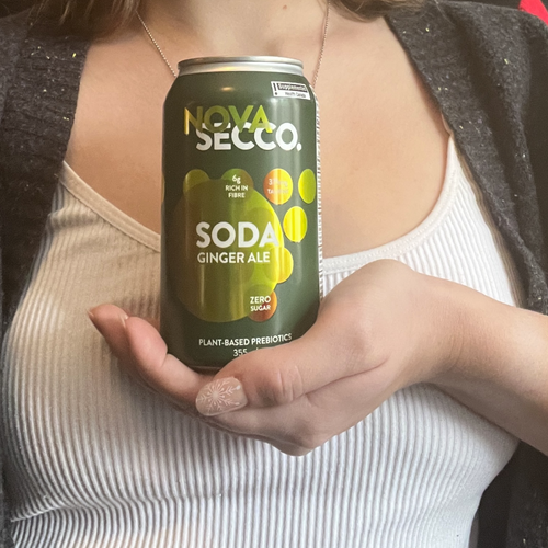 Novasecco Ginger Ale Prebiotic Sparkling Soda