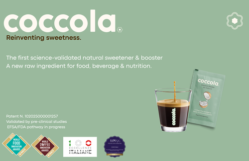 Brochure Coccola 2026