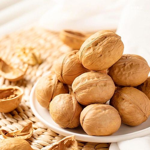 Walnut & Walnut Kernel