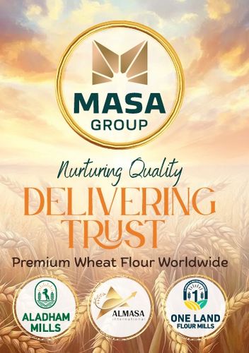 Masa Group Brochure