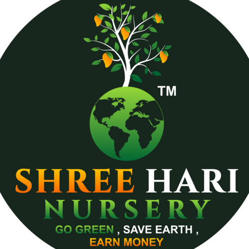 SHREE HARI NURSERY
