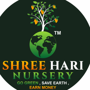 Shree Hari Nursery