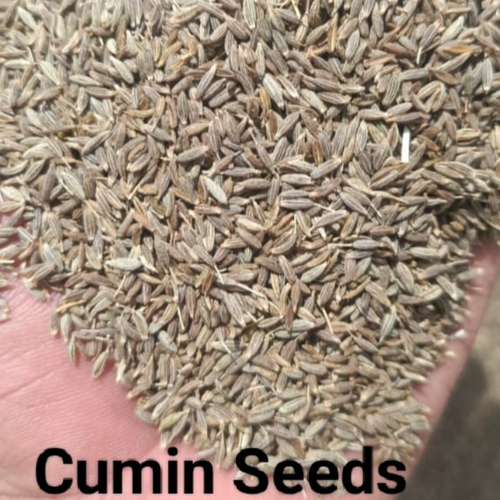Cumin Seeds