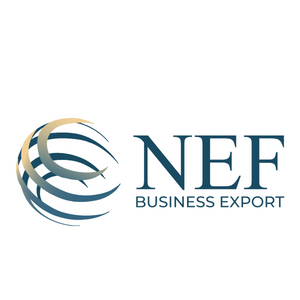 NEF BUSINESS EXPORT