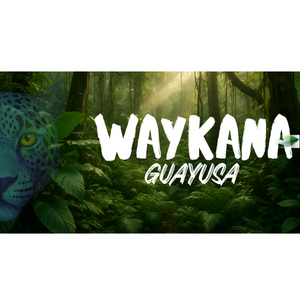 GUAYUSA BY WAYKANA
