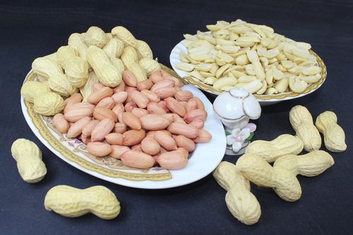 Nuts Land Egypt Strengthens Its Position in Global Markets with Premium Peanut Products