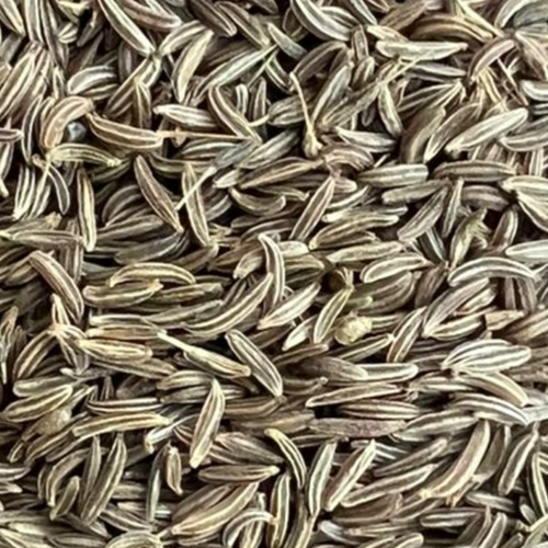 Caraway Seeds Golden Pyramid