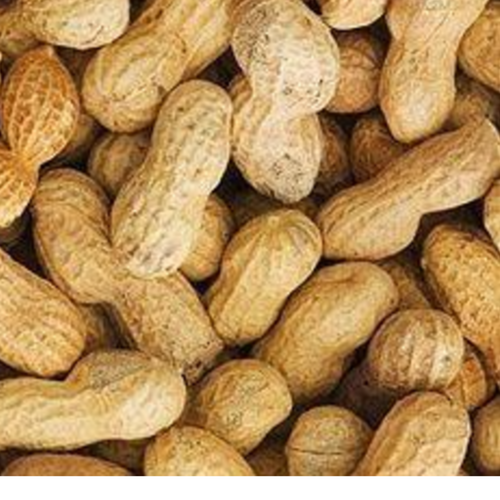 Inshell Peanuts